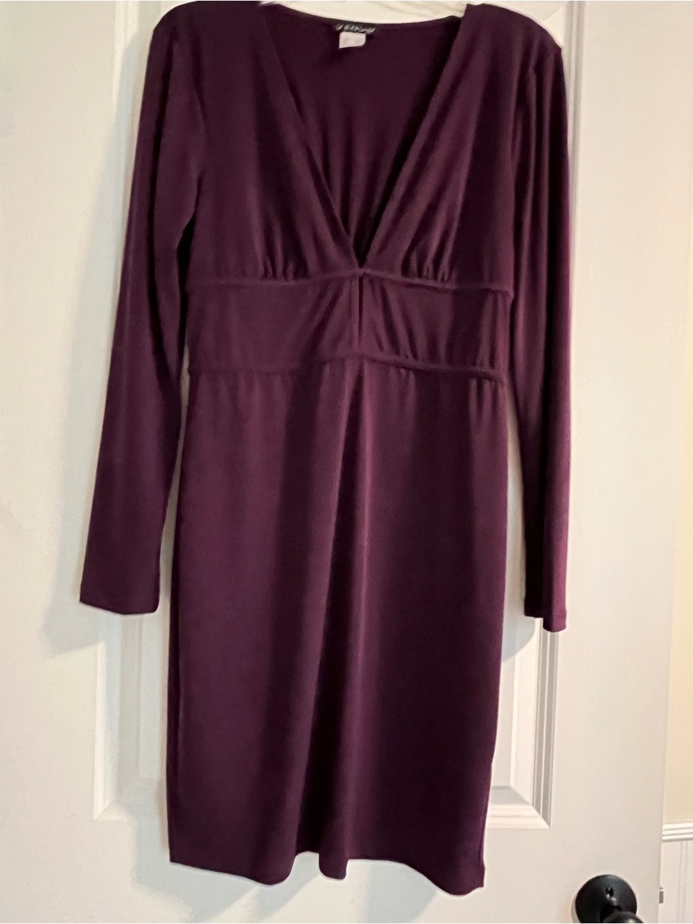 VENUS Long Sleeve V-Neck Dress in Plum